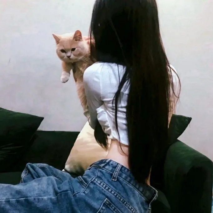 被怀疑:兔子和刺猬